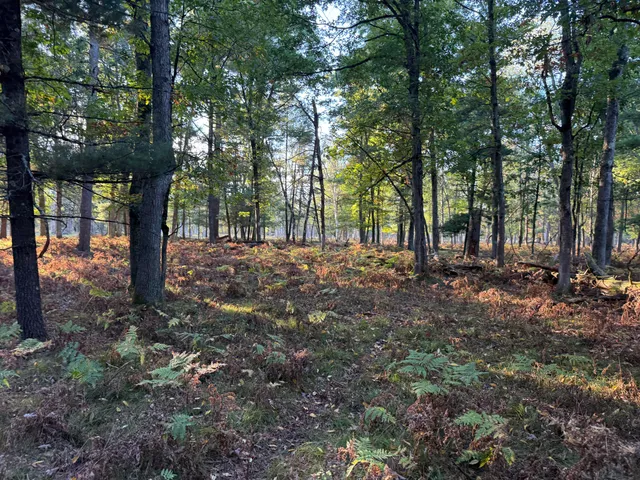 $989,000 | 9283 Willow Road, Bitely, MI 49309