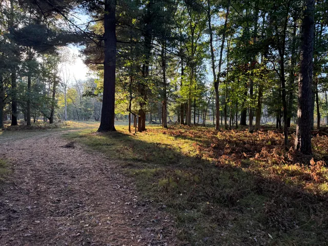 $989,000 | 9283 Willow Road, Bitely, MI 49309