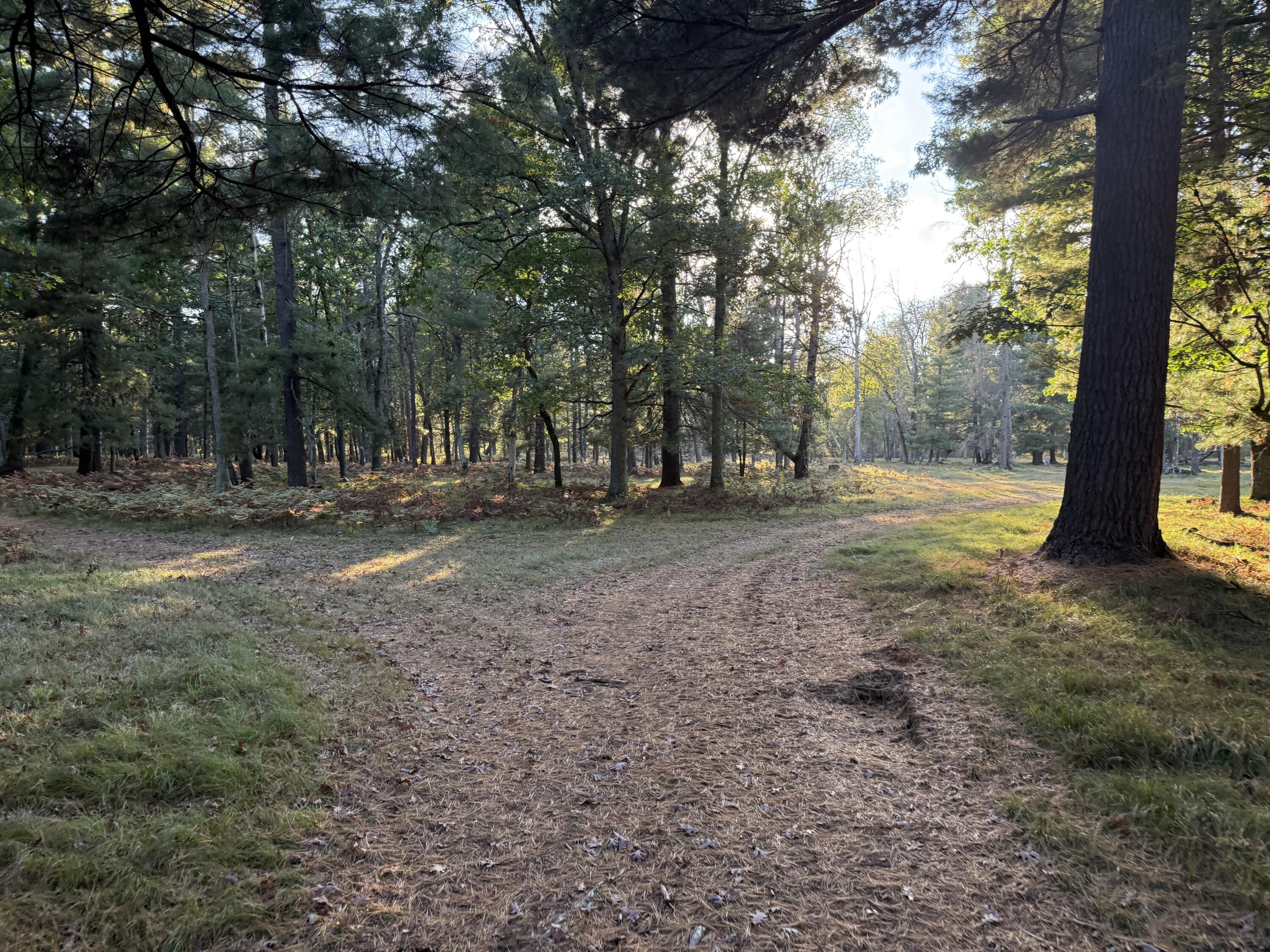 9283 Willow Road Bitely, MI 49309 - Photo 17 of 56 IMG_3247