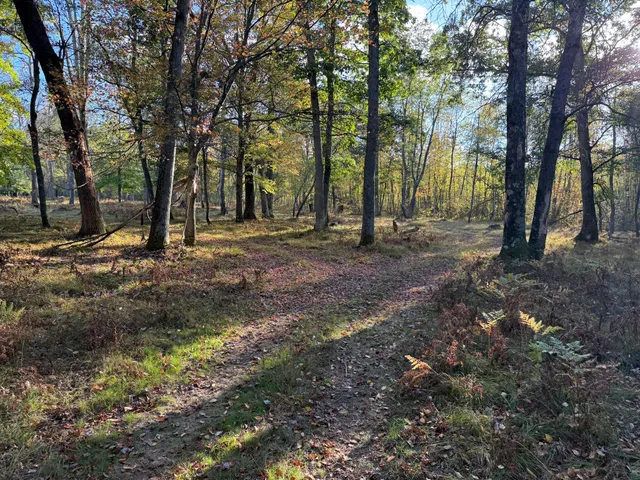 $989,000 | 9283 Willow Road, Bitely, MI 49309