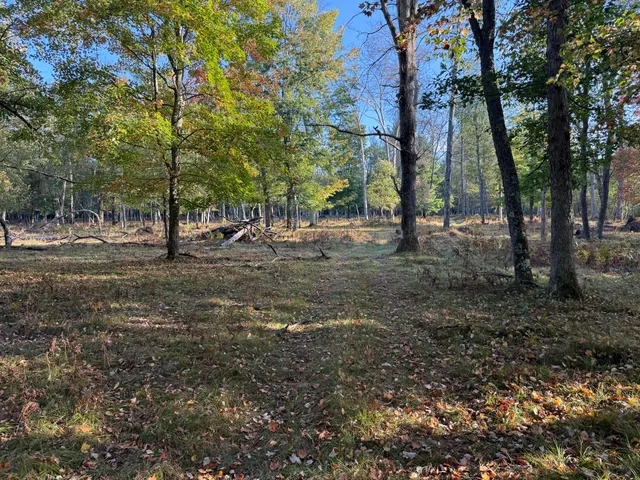 $989,000 | 9283 Willow Road, Bitely, MI 49309