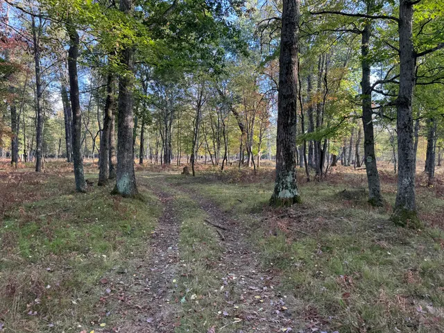 $989,000 | 9283 Willow Road, Bitely, MI 49309