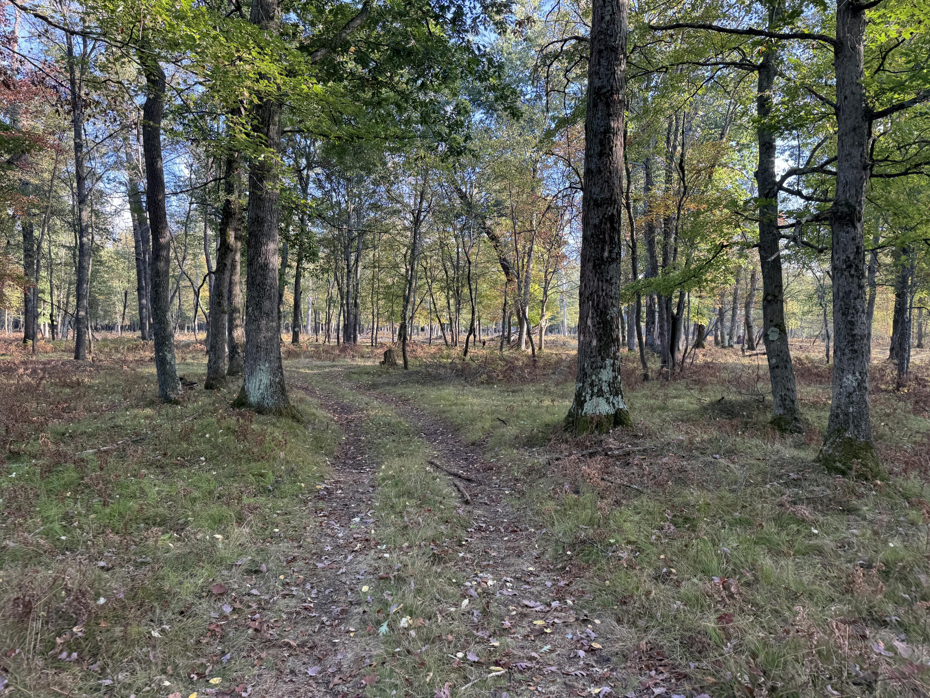 9283 Willow Road Bitely, MI 49309 - Photo 20 of 56 IMG_3198