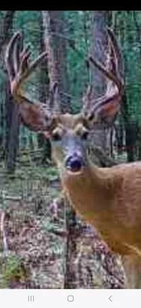 $949,000 | 9283 Willow Road, Bitely, MI 49309