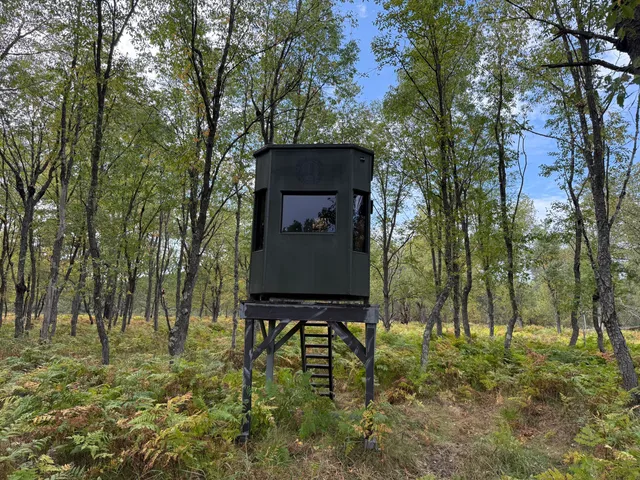 $989,000 | 9283 Willow Road, Bitely, MI 49309