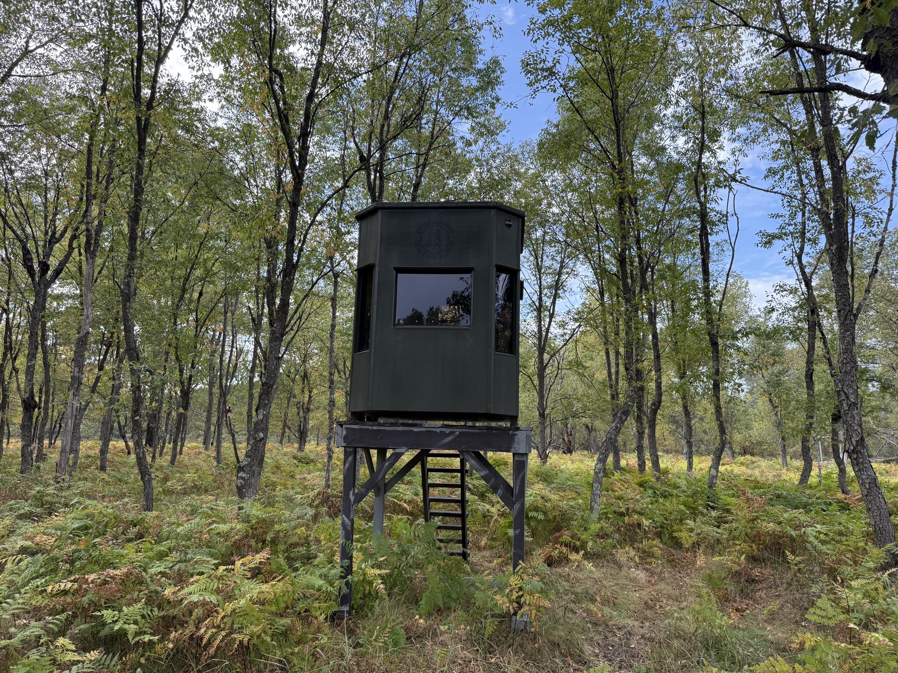 9283 Willow Road Bitely, MI 49309 - Photo 22 of 56 IMG_3089