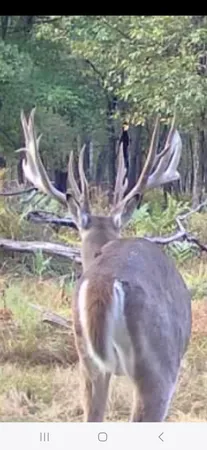 $949,000 | 9283 Willow Road, Bitely, MI 49309