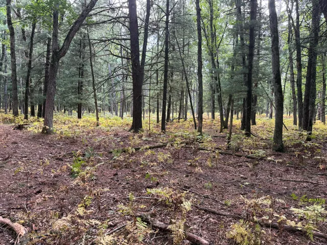 $989,000 | 9283 Willow Road, Bitely, MI 49309