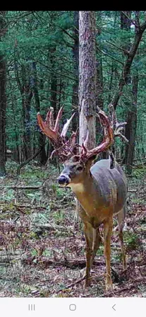 $949,000 | 9283 Willow Road, Bitely, MI 49309