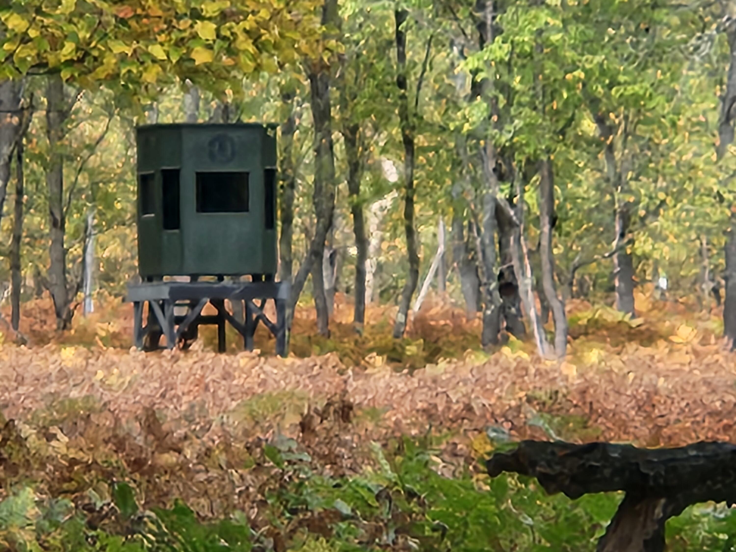 9283 Willow Road Bitely, MI 49309 - Photo 24 of 56 1000004013