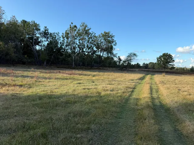 $989,000 | 9283 Willow Road, Bitely, MI 49309