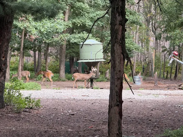 $949,000 | 9283 Willow Road, Bitely, MI 49309