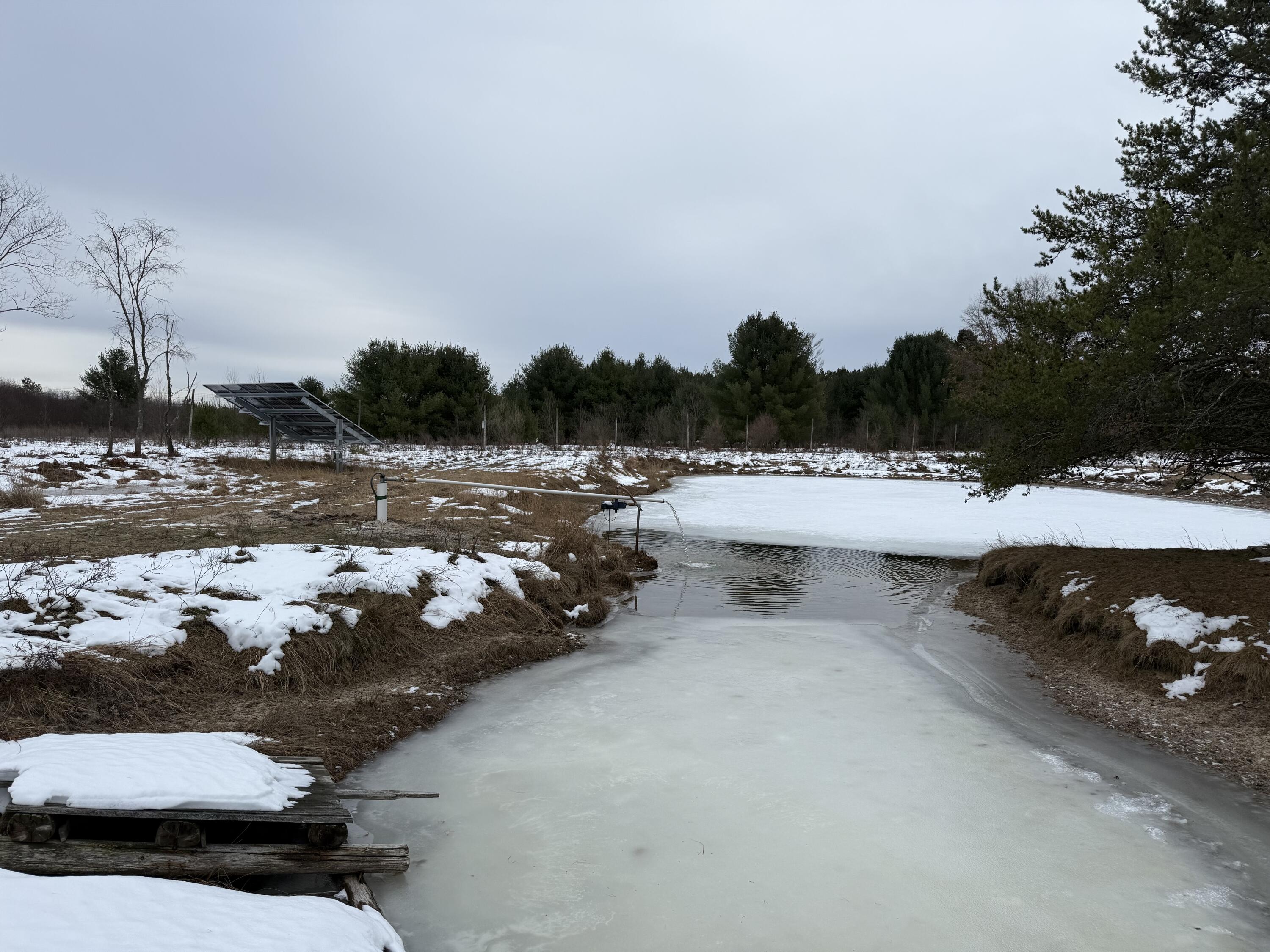 9283 Willow Road Bitely, MI 49309 - Photo 27 of 56 IMG_3769