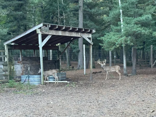 $949,000 | 9283 Willow Road, Bitely, MI 49309