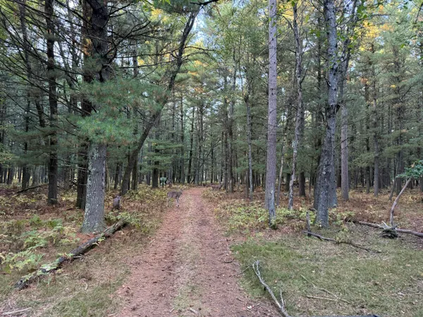 $949,000 | 9283 Willow Road, Bitely, MI 49309