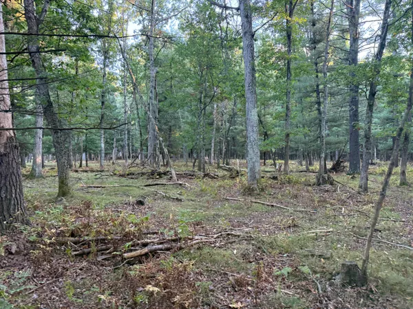 $949,000 | 9283 Willow Road, Bitely, MI 49309