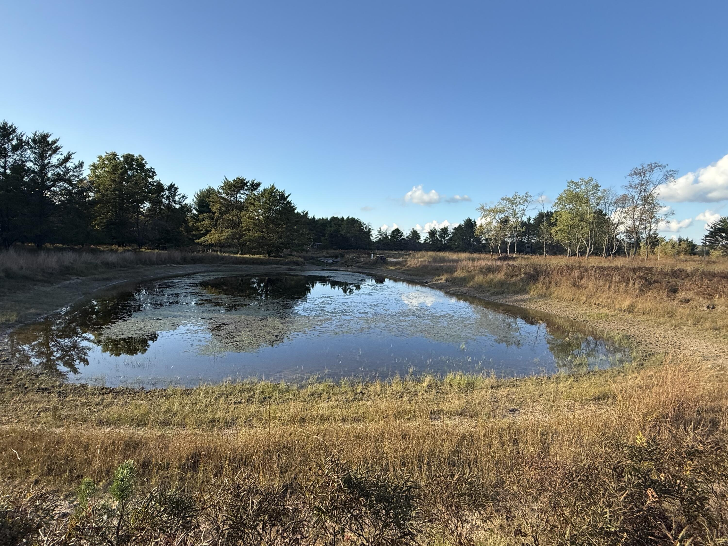 9283 Willow Road Bitely, MI 49309 - Photo 29 of 56 IMG_3220