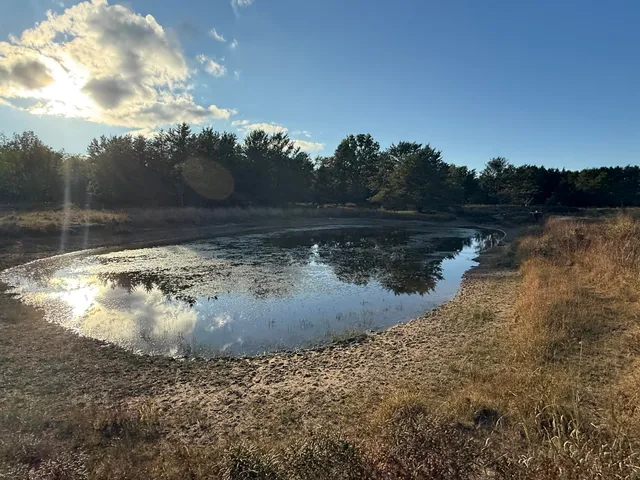 $989,000 | 9283 Willow Road, Bitely, MI 49309