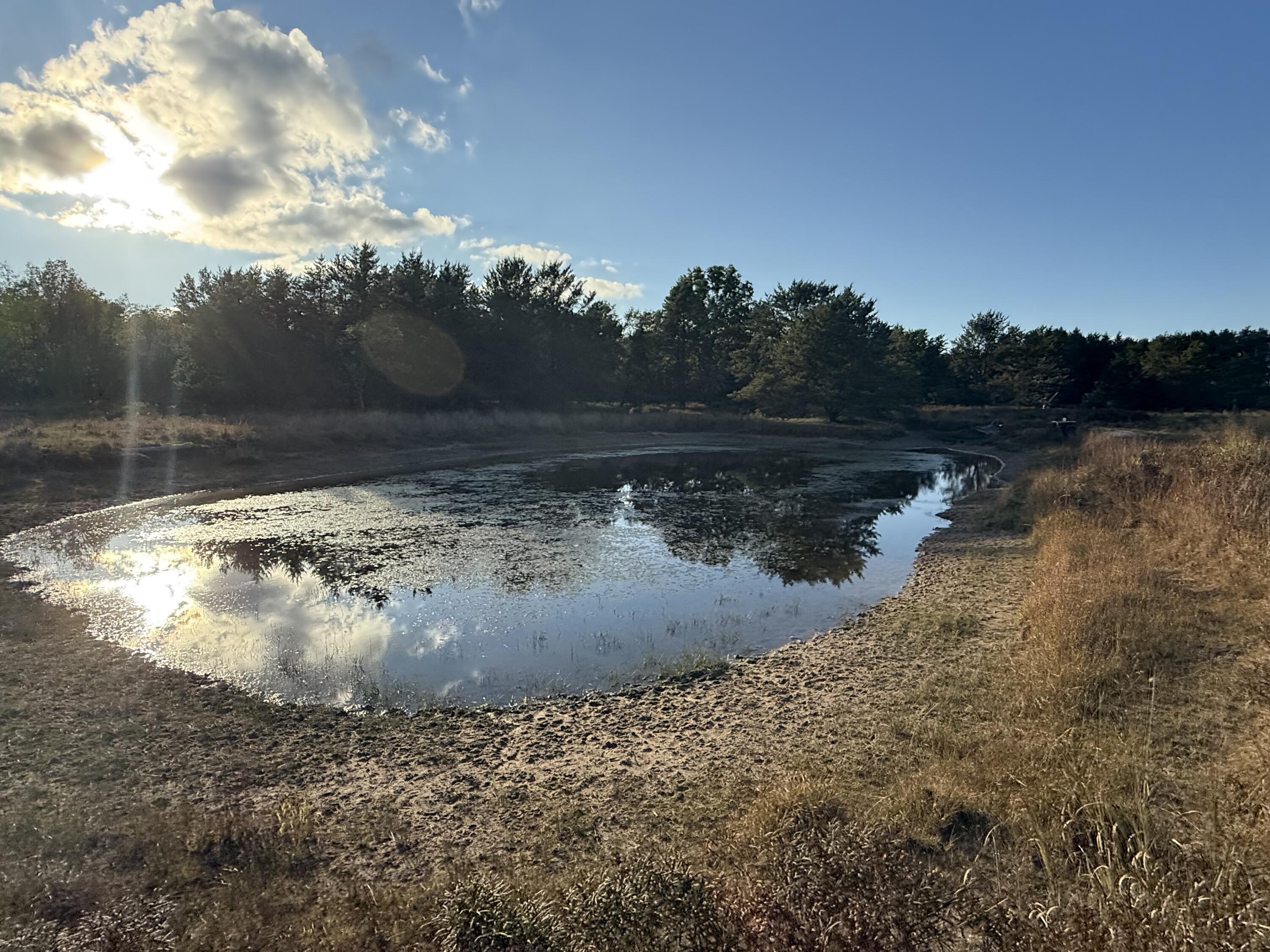 9283 Willow Road Bitely, MI 49309 - Photo 32 of 56 IMG_3218