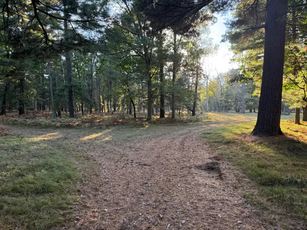 $949,000 | 9283 Willow Road, Bitely, MI 49309