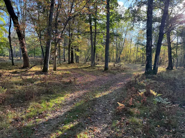 $949,000 | 9283 Willow Road, Bitely, MI 49309