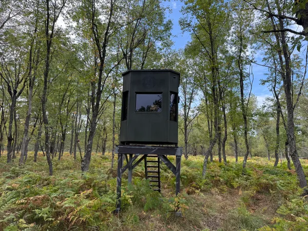 $949,000 | 9283 Willow Road, Bitely, MI 49309