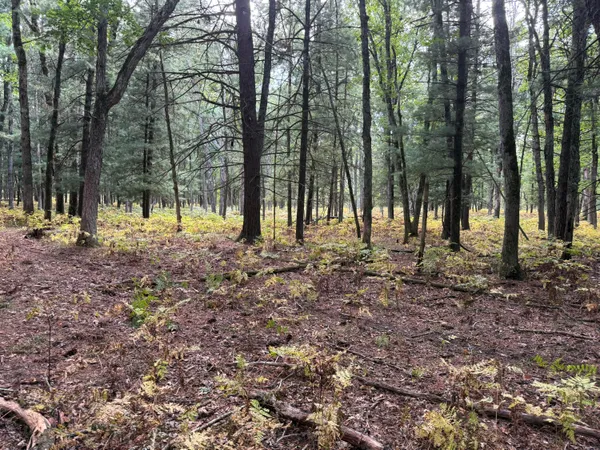 $949,000 | 9283 Willow Road, Bitely, MI 49309