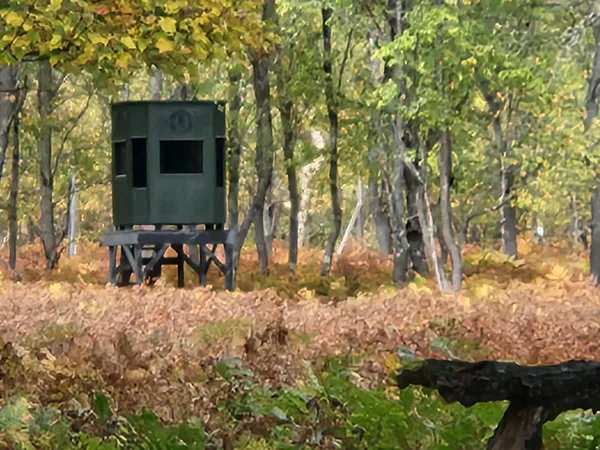 $949,000 | 9283 Willow Road, Bitely, MI 49309