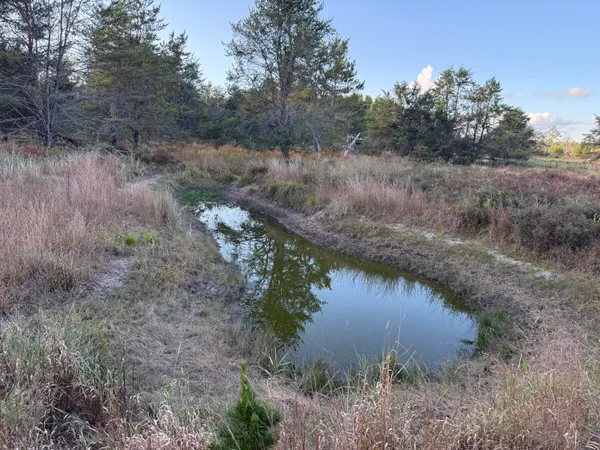 $949,000 | 9283 Willow Road, Bitely, MI 49309