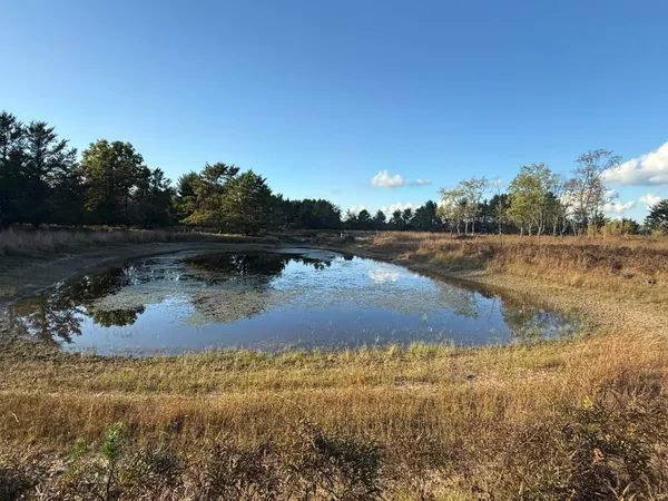 $949,000 | 9283 Willow Road, Bitely, MI 49309