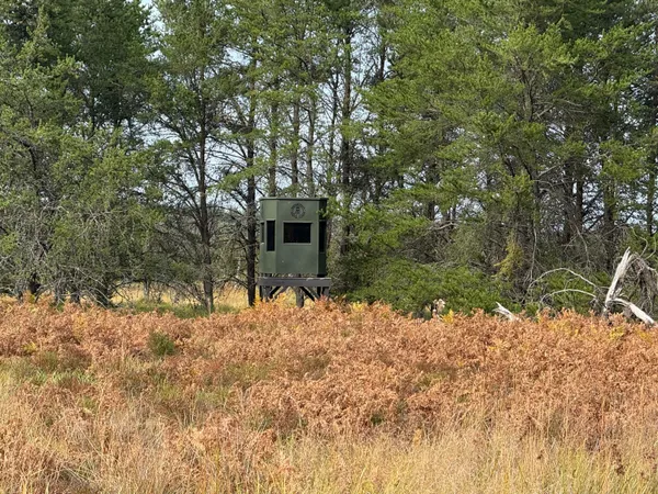 $949,000 | 9283 Willow Road, Bitely, MI 49309