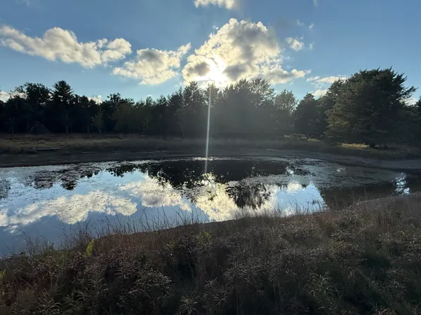 $949,000 | 9283 Willow Road, Bitely, MI 49309