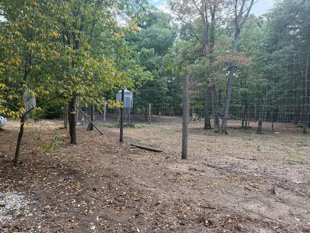 $989,000 | 9283 Willow Road, Bitely, MI 49309