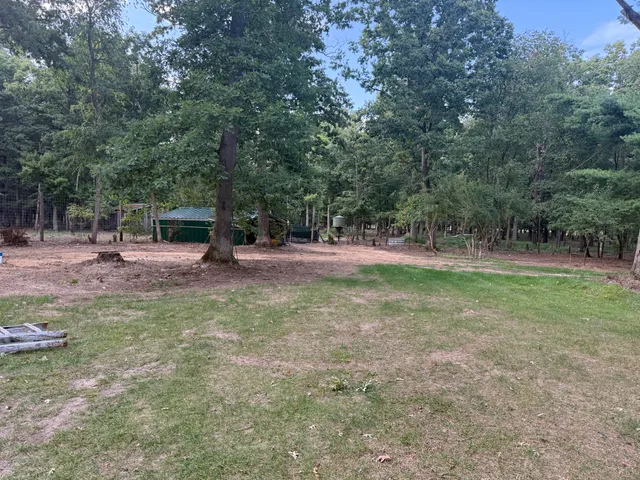 $989,000 | 9283 Willow Road, Bitely, MI 49309