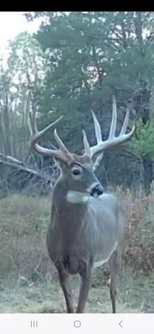 $989,000 | 9283 Willow Road, Bitely, MI 49309