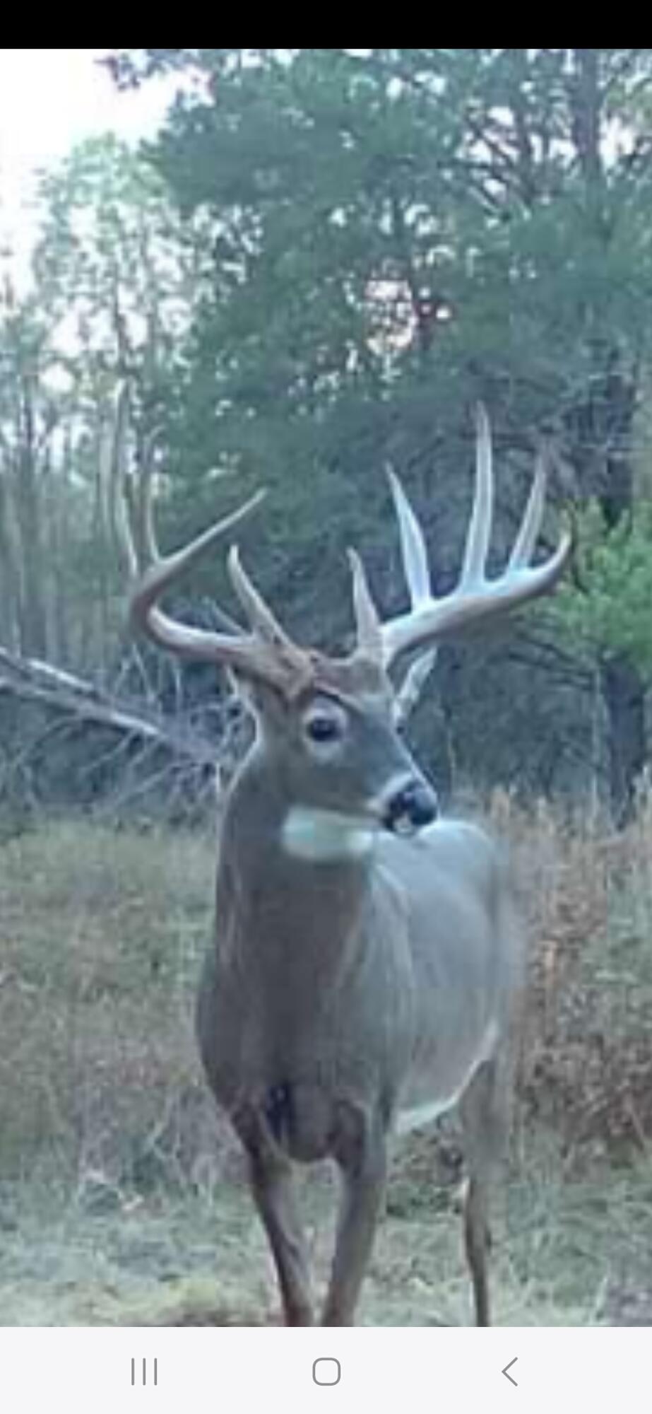 9283 Willow Road Bitely, MI 49309 - Photo 51 of 56 Screenshot_20241001_195838_Reveal