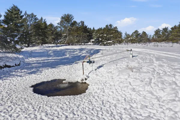 $949,000 | 9283 Willow Road, Bitely, MI 49309