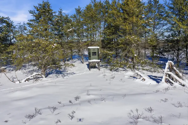 $949,000 | 9283 Willow Road, Bitely, MI 49309