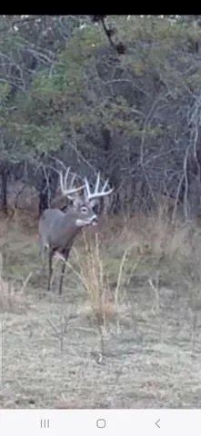 $989,000 | 9283 Willow Road, Bitely, MI 49309