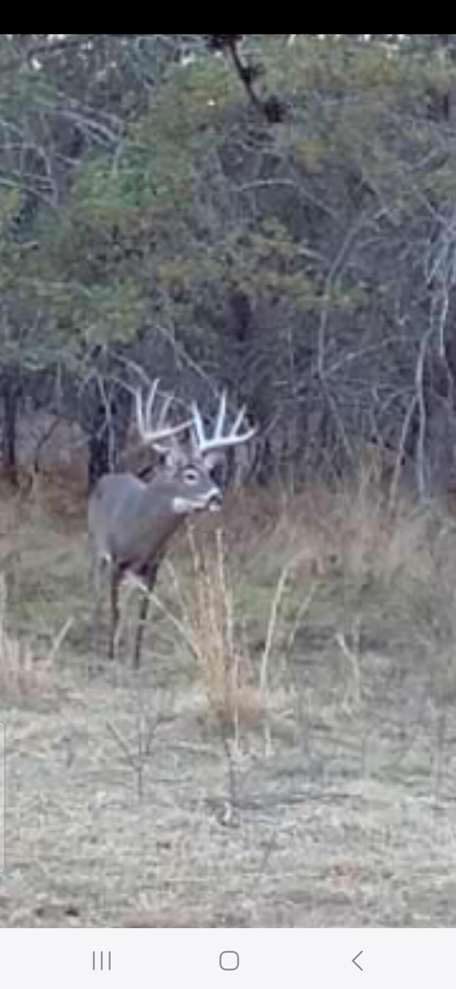 9283 Willow Road Bitely, MI 49309 - Photo 53 of 56 Screenshot_20241021_183218_Reveal