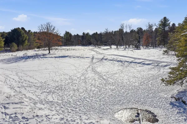 $949,000 | 9283 Willow Road, Bitely, MI 49309