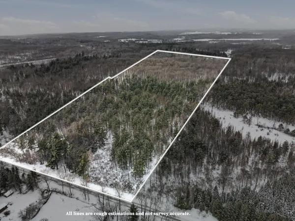 $949,000 | 9283 Willow Road, Bitely, MI 49309