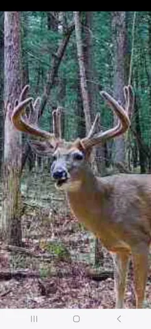 $989,000 | 9283 Willow Road, Bitely, MI 49309