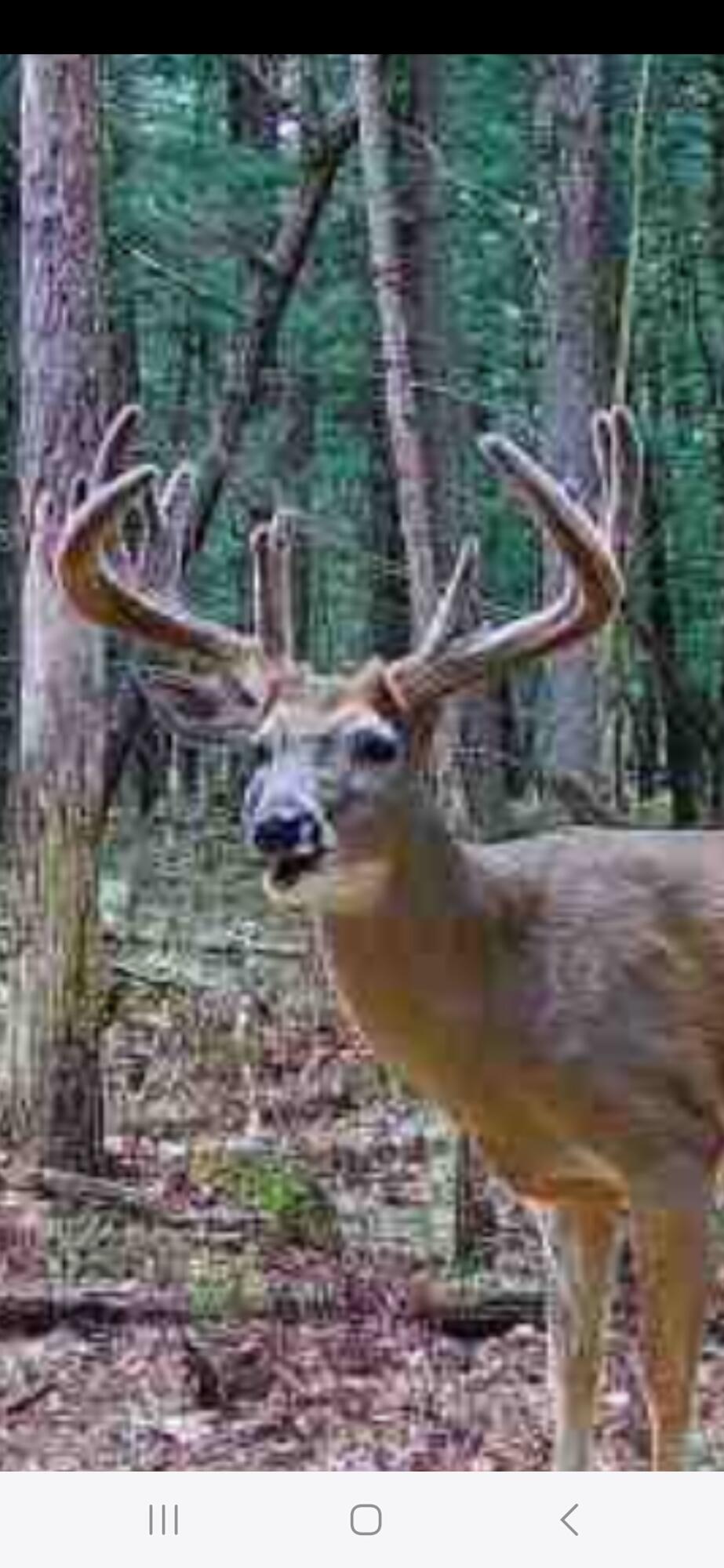 9283 Willow Road Bitely, MI 49309 - Photo 54 of 56 Screenshot_20240830_154351_Reveal