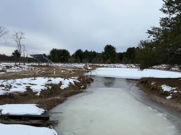 $949,000 | 9283 Willow Road, Bitely, MI 49309