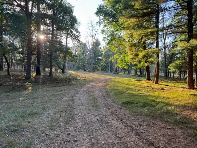 $989,000 | 9283 Willow Road, Bitely, MI 49309