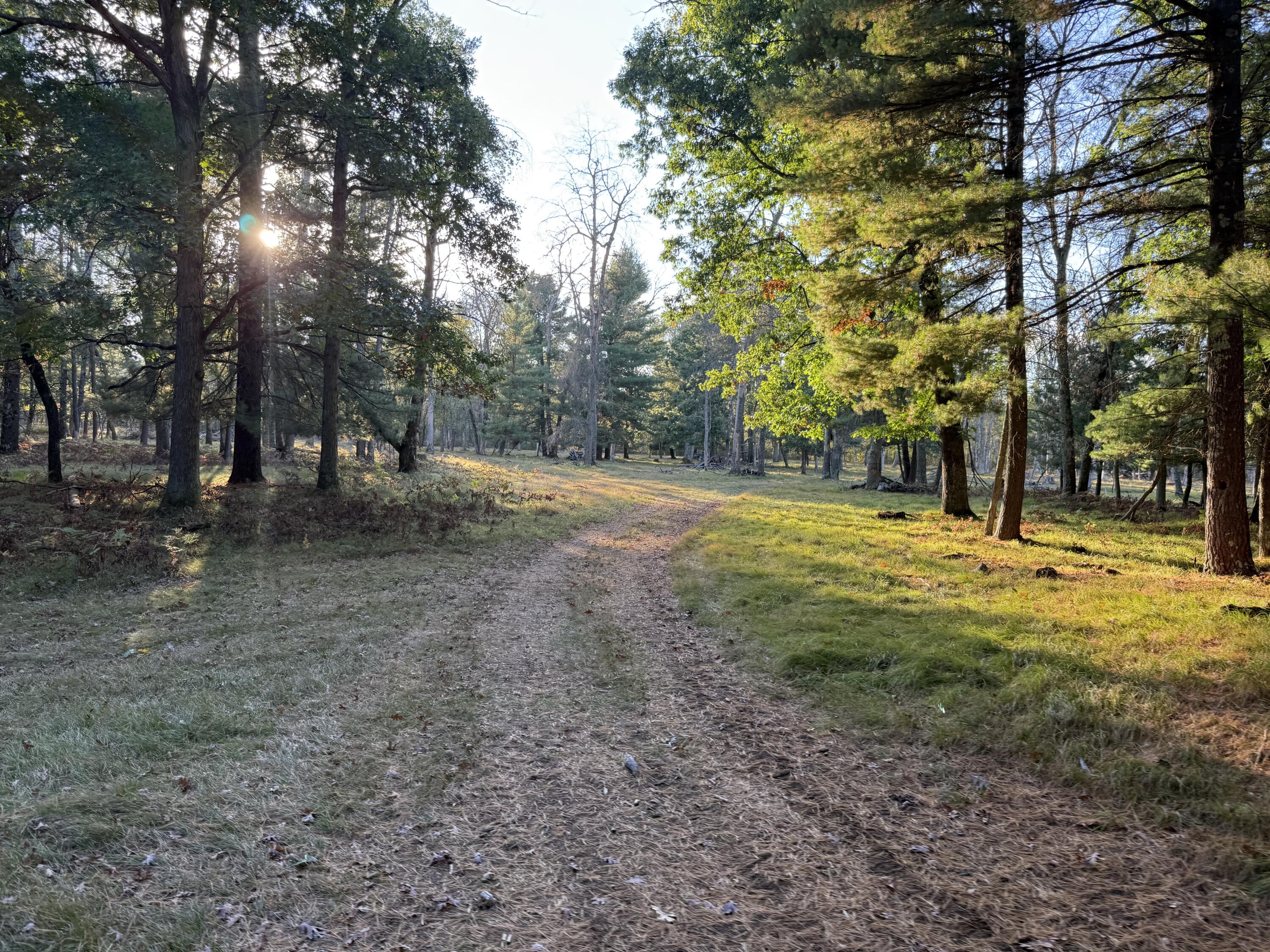 9283 Willow Road Bitely, MI 49309 - Photo 56 of 56 IMG_3246