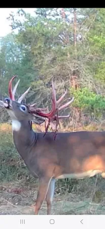 $949,000 | 9283 Willow Road, Bitely, MI 49309