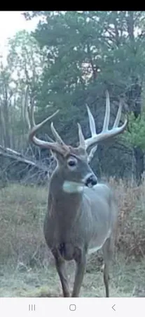 $949,000 | 9283 Willow Road, Bitely, MI 49309