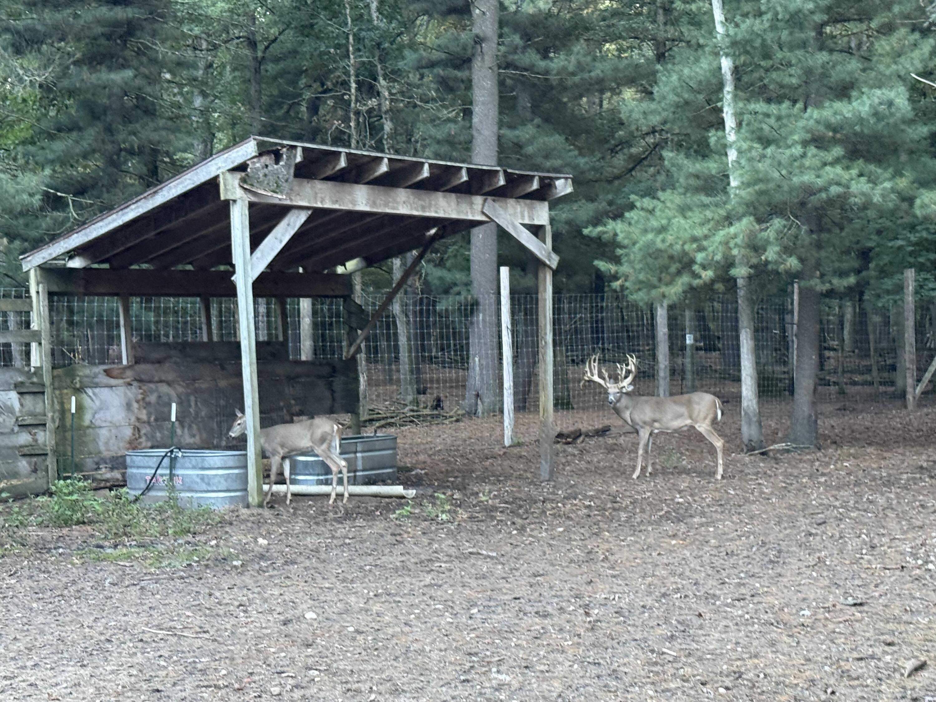 9283 Willow Road Bitely, MI 49309 - Photo 8 of 56 IMG_3258